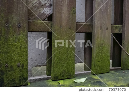 Wood deck corroded by moss 70375070