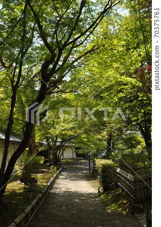 前往聖殿的方法 70375761