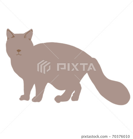 貓 70376010