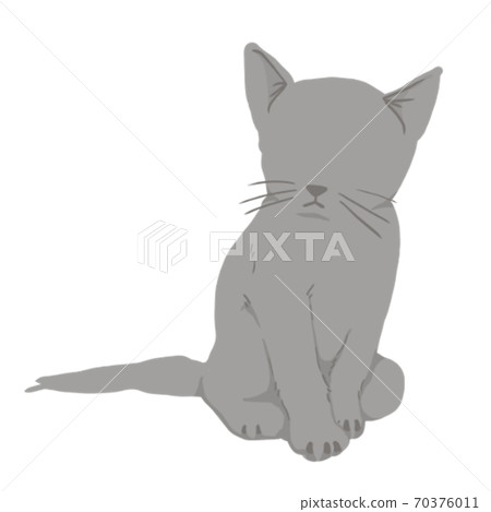 貓 70376011