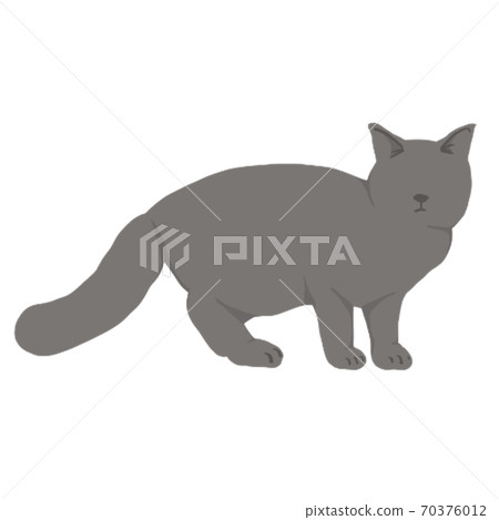 貓 貓 70376012