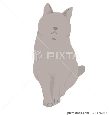 貓 70376013