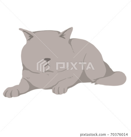貓 70376014