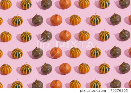 Pumpkin pattern on pink background with sunlight shadow, Halloween, thanksgiving holidays. Pumpkin pattern on pink background with sunlight shadow, Halloween, thanksgiving holidays. 70376305