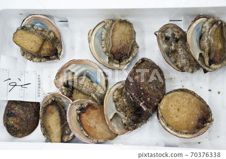 Abalone Kyoto Central Market, 70376338