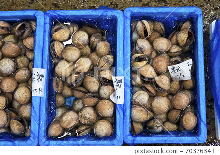 京都Torigai中央市場 京都Torigai中央市場 70376341