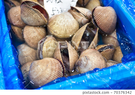 京都Torigai中央市場 京都Torigai中央市場 70376342