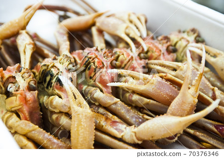 葵蟹京都中央市場 葵蟹京都中央市場 70376346