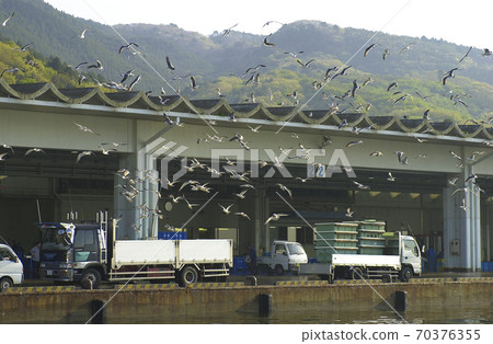 Onagawa Port Miyagi Prefecture Onagawa Port Miyagi Prefecture 70376355