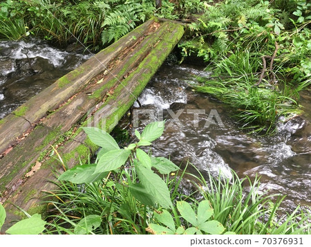 Aichaka Sports Park 70376931