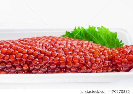 生肌 生肌 70378225