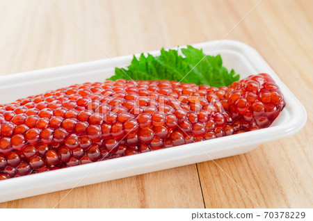 生肌 生肌 70378229