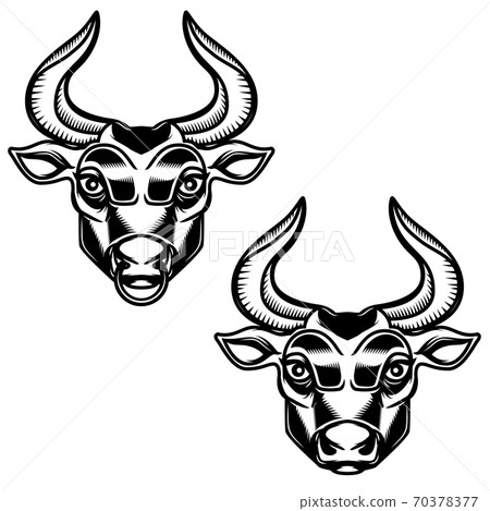Bull head illustration isolated on white background. Design element for emblem, sign, poster, label. Bull head illustration isolated on white background. Design element for emblem, sign, poster, label. 70378377