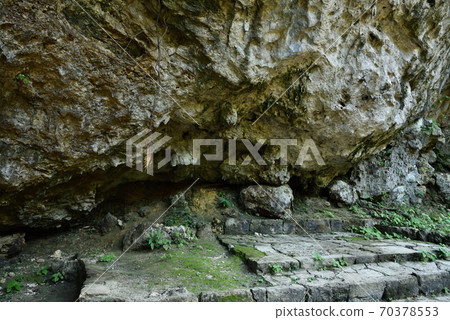 Seiko Gyoen 70378553