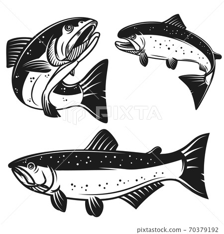 Set of salmon fish icons isolated on white background. Design element for poster, logo, label, emblem, sign, t shirt. 70379192