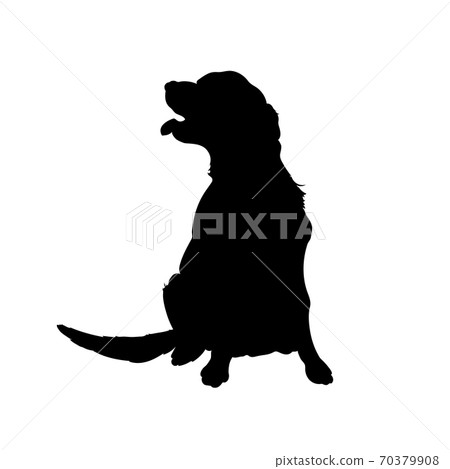 Black silhouette of dog. Isolated image of retriever. Farm pet. Veterinary clinic logo 70379908