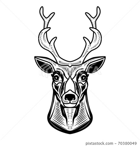 Deer icon isolated on white background. Design element for logo, label, emblem, sign. Deer icon isolated on white background. Design element for logo, label, emblem, sign. 70380049
