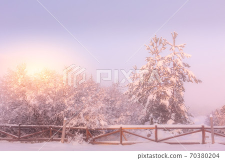 Winter foggy snow trees and fence, sun 70380204