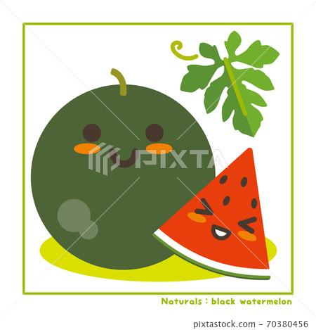 Nachuraruzu Kurotama Watermelon Fruit Harvest Information Nachuraruzu Kurotama Watermelon Fruit Harvest Information 70380456