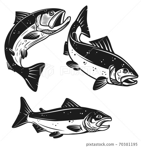Set of salmon fish icons isolated on white background. Design element for poster, logo, label, emblem, sign, t shirt. Set of salmon fish icons isolated on white background. Design element for poster, logo, label, emblem, sign, t shirt. 70381195