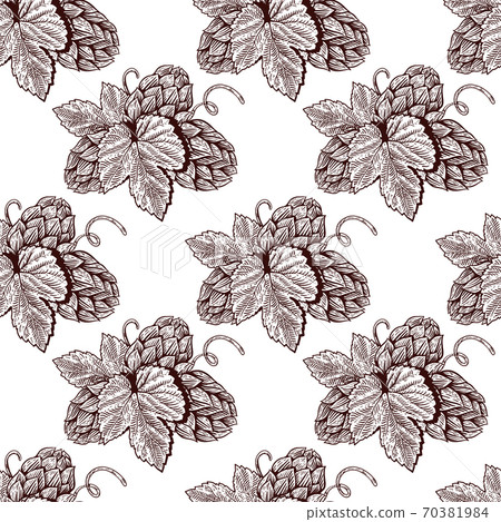 Seamless pattern with hand drawn beer hop.... - Stock Illustration ...