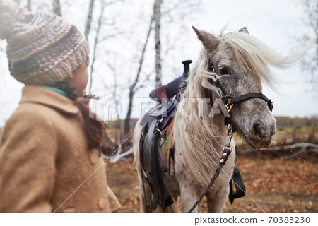 Unrecognizable Girl With Beautiful Pony Unrecognizable Girl With Beautiful Pony 70383230