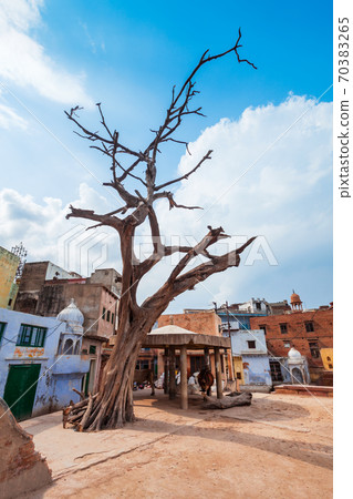 Vishram Ghat in Mathura, India 70383265