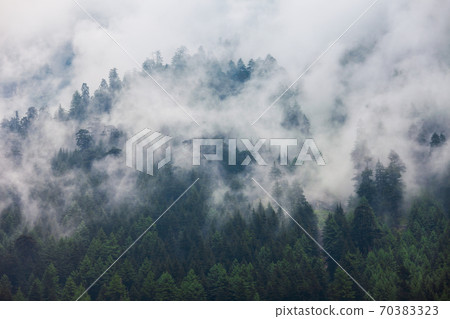 Forested mountains in cloud and mist Forested mountains in cloud and mist 70383323