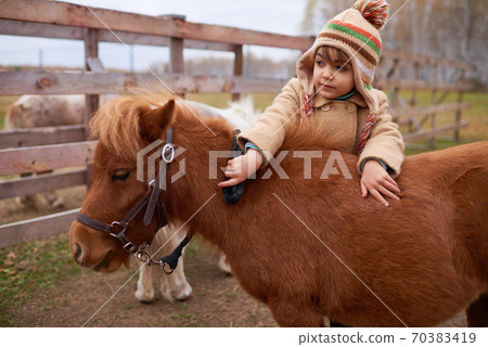 Little Child Spending Time On Horse Farm Little Child Spending Time On Horse Farm 70383419