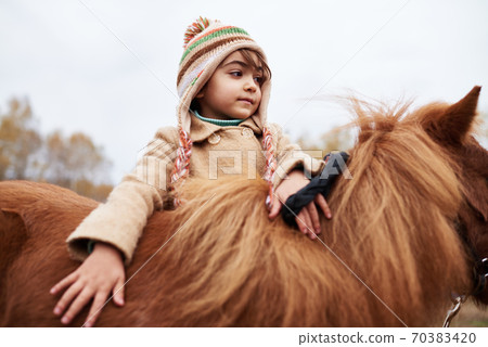 Beautiful Girl Touching Pony Beautiful Girl Touching Pony 70383420