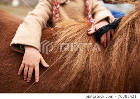 Horizontal shot of unrecognizable little girl touching her chestnut pony Horizontal shot of unrecognizable little girl touching her chestnut pony 70383421