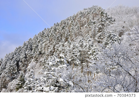 丹澤表參道的雪景 丹澤表參道的雪景 70384373