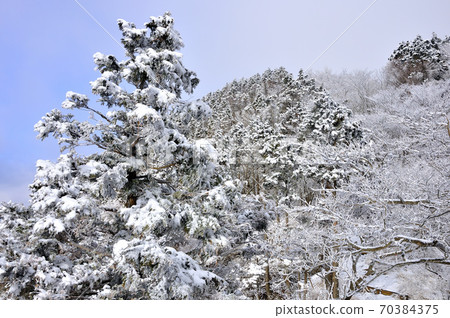 丹澤表參道的雪景 丹澤表參道的雪景 70384375