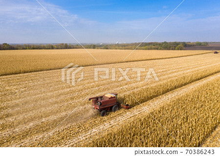 Combine harvesting corn aerial view. 70386243