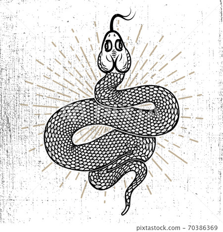 Snake illustration on grunge background. Design element for poster, card, emblem, logo, sign, t shirt. Snake illustration on grunge background. Design element for poster, card, emblem, logo, sign, t shirt. 70386369