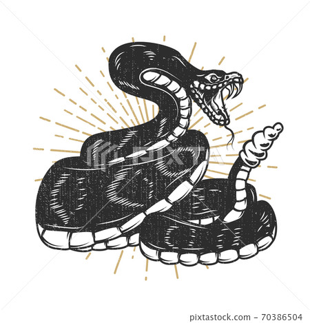 Viper snake illustration. Design element for emblem, sign, poster, t shirt. 70386504