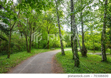 Walkway next to the trees in a park. 70386600