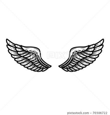 Wings isolated on white background. Design element for logo, label, emblem, sign. Wings isolated on white background. Design element for logo, label, emblem, sign. 70386722
