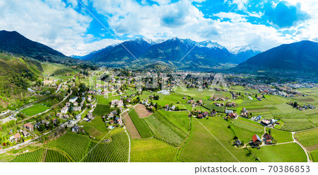 South Tyrol vineyards aerial view South Tyrol vineyards aerial view 70386853
