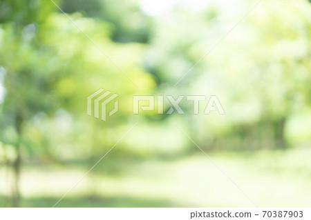 Abstract blur green color for background, blurred and park focused effect spring concept for design Abstract blur green color for background, blurred and park focused effect spring concept for design 70387903