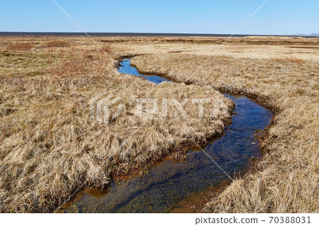 Little Creek Flowing Little Creek Flowing 70388031