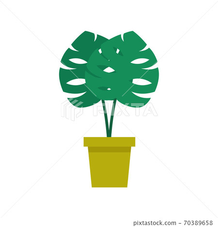 monstera plant flat icon, vector color monstera plant flat icon, vector color 70389658