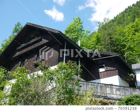 Hallstatt village in Austria 70391238