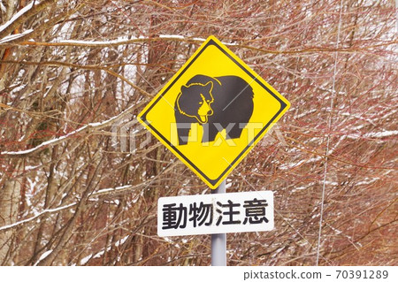 Signs you see on mountain roads Animal caution Bears 70391289