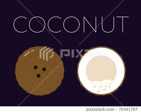 Vector of Coconut and sliced half of Coconut on dark background 70391787
