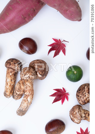 Image of vegetables in the autumn season Image of vegetables in the autumn season 70391866