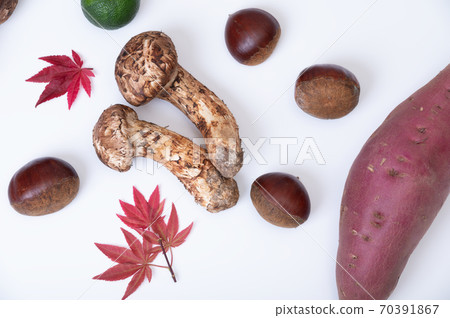 Image of vegetables in the autumn season Image of vegetables in the autumn season 70391867