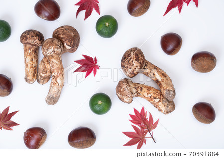 Image of vegetables in the autumn season Image of vegetables in the autumn season 70391884
