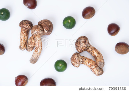 Image of vegetables in the autumn season 70391888