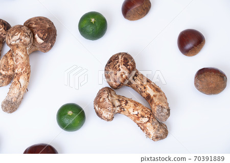 Image of vegetables in the autumn season Image of vegetables in the autumn season 70391889